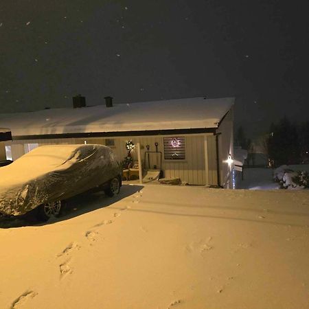 Leilighet Med Fantastisk Utsikt. 特罗姆瑟 外观 照片